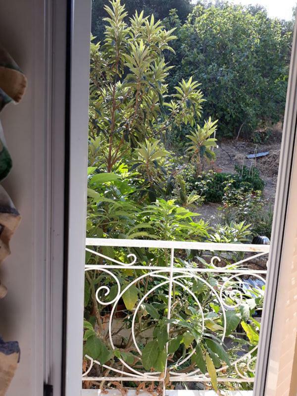 Villa Victoria Corfu Ágios Matthaíos Kültér fotó